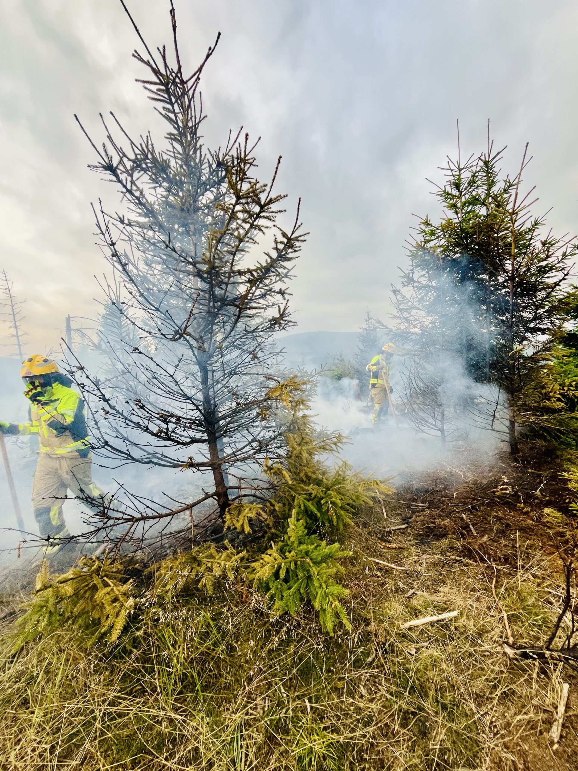 Waldbrand in Ilsenburg